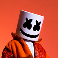 Biography Marshmello