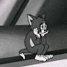 User_10861