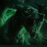 User_11456