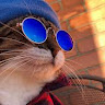 User_11591