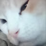 User_11956