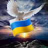 User_7101