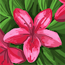 User_8097