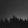 User_8445