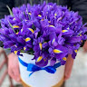 User_8691
