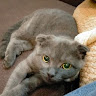 User_8720