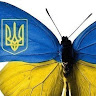 User_9455