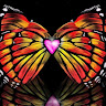 User_9678
