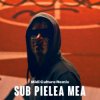 Carla`s Dreams - Sub pielea mea (Midi Culture Remix)