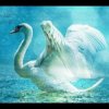 Lacross - Save Me (Swan Lake)