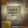 AFROJACK - Never Forget You