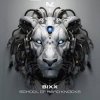 Bixx - Do The Right Thing