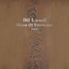 Bill Laswell - Broken Toenail Gland