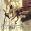 Bill Laswell - Scratch Code