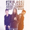 Steve Aoki & Felix Jaehn feat. Adam Lambert - Can't Go Home (Radio Edit)