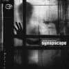 Synapscape - Spill