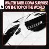 Walter Taieb & Diva Surprise - On the Top of the World (YMCA)