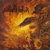 Nokturnal Mortum - Печаль родных земель