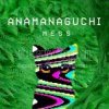 Anamanaguchi - Echobo