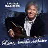 Вячеслав Малежик - Попутчица