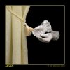ADULT. - Does The Body Know