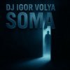 Dj Igor Volya - SOMA