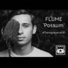 Flume - Possum