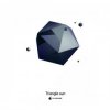 Triangle Sun - Back to Infinity(Instrumental)