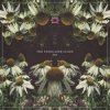 Lost World - Stargazer