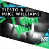 Tiesto & Mike Williams - I Want You (Extended Mix)