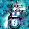 Cover Rexalted - Synthetic happiness Rexalted - Synthetic happiness