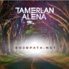 Тамерлан и Алёна - Возврата. NET