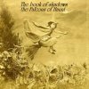 Cover The Falcons of Haunt - The Book of Shadows (Phase 4) The Falcons of Haunt - The Book of Shadows (Phase 4)