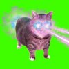XertXetin - OIIA OIIA COSMIC CAT (Sped Up)