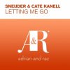 Sneijder & Cate Kanell - Letting Me Go (Original Mix)