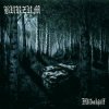 Burzum - Frijôs einsames Trauern