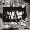 In Strict Confidence - Burning Angel (Remix)