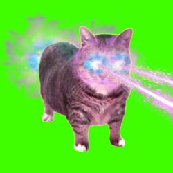 Cover XertXetin - OIIA OIIA COSMIC CAT (Sped Up)