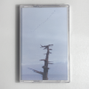 Buttechno - Japan coasts