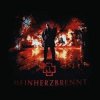 Foxy Tail - Mein Herz Brennt