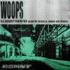 DJ Bountyhunter - Woops (Dimitri Vegas & Junkie Kid Remix)