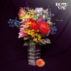 Cover Rocco Vice - Alles Rocco Vice - Alles