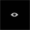 Cover Belladonna - Alchemical Romance Belladonna - Alchemical Romance