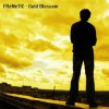 FReNeTIC - Flare3