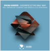 Drunk Breeze - Goodbye Is The Only Way (Casepeat Extended Remix)