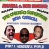 Axwell and Bob Sinclar (Feat Ron Carroll) - What a wonderful world feat ron car