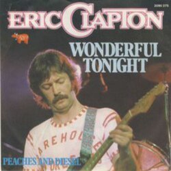 Eric Clapton - Wonderful Tonight