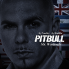Pitbull - Shut It Down