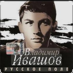 Владимир Ивашов - Поле, русское поле