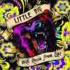 Little Big - Life in da Trash